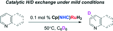 Graphical abstract: H/D exchange in N-heterocycles catalysed by an NHC-supported ruthenium complex