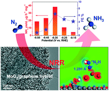Graphical abstract: Ambient electrocatalytic nitrogen reduction on a MoO2/graphene hybrid: experimental and DFT studies
