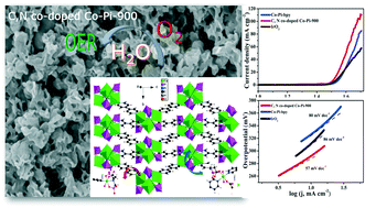 Graphical abstract: A mesoporous C,N-co doped Co-based phosphate ultrathin nanosheet derived from a phosphonate-based-MOF as an efficient electrocatalyst for water oxidation