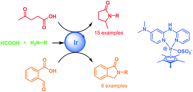 Graphical abstract: Formic acid as a hydrogen source for the iridium-catalyzed reductive amination of levulinic acid and 2-formylbenzoic acid