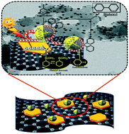 Graphical abstract: A plasmonic AuPd bimetallic nanoalloy decorated over a GO/LDH hybrid nanocomposite via a green synthesis route for robust Suzuki coupling reactions: a paradigm shift towards a sustainable future