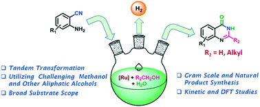 Graphical abstract: Tandem synthesis of quinazolinone scaffolds from 2-aminobenzonitriles using aliphatic alcohol–water system