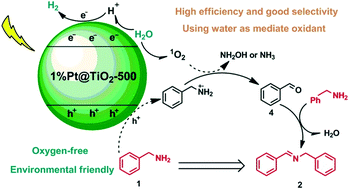 Graphical abstract: Oxygen-free water-promoted selective photocatalytic oxidative coupling of amines