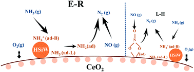 Graphical abstract: Surface acidity enhancement of CeO2 catalysts via modification with a heteropoly acid for the selective catalytic reduction of NO with ammonia