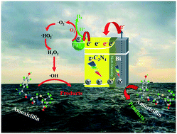Graphical abstract: Photocatalytic hydrogen energy evolution from antibiotic wastewater via metallic bi nanosphere doped g-C3N4: performances and mechanisms