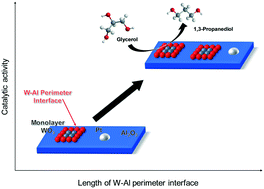Graphical abstract: Effect of perimeter interface length between 2D WO3 monolayer domain and γ-Al2O3 on selective hydrogenolysis of glycerol to 1,3-propanediol