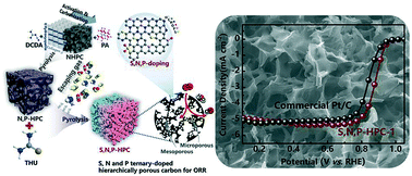 Graphical abstract: Enhancement mechanism of sulfur dopants on the catalytic activity of N and P co-doped three-dimensional hierarchically porous carbon as a metal-free oxygen reduction electrocatalyst