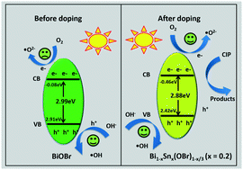 Graphical abstract: Efficient photocatalytic reactions of Cr(vi) reduction and ciprofloxacin and RhB oxidation with Sn(ii)-doped BiOBr