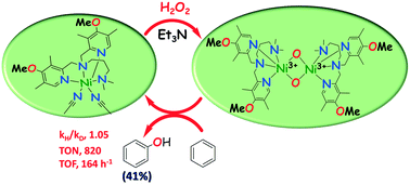 Graphical abstract: One step phenol synthesis from benzene catalysed by nickel(ii) complexes