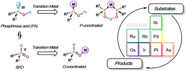 Graphical abstract: Coordination chemistry and catalysis with secondary phosphine oxides