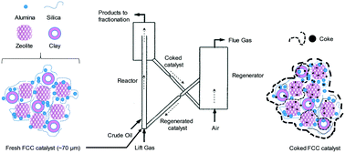 Graphical abstract: Transformations of FCC catalysts and carbonaceous deposits during repeated reaction-regeneration cycles