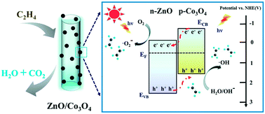 Graphical abstract: ZnO nanorods modified with noble metal-free Co3O4 nanoparticles as a photocatalyst for efficient ethylene degradation under light irradiation
