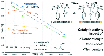 Graphical abstract: Mono- and diylide-substituted phosphines (YPhos): impact of the ligand properties on the catalytic activity in gold(i)-catalysed hydroaminations
