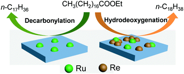 Graphical abstract: Hydrodeoxygenation of ethyl stearate over Re-promoted Ru/TiO2 catalysts: rate enhancement and selectivity control by the addition of Re