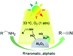 Graphical abstract: Photocatalytic selective aerobic oxidation of amines to nitriles over Ru/γ-Al2O3: the role of the support surface and the strong imine intermediate adsorption