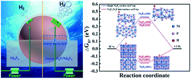 Graphical abstract: Fabrication and study of the synergistic effect of Janus Ni2P/Ni5P4 embedded in N-doped carbon as efficient electrocatalysts for hydrogen evolution reaction