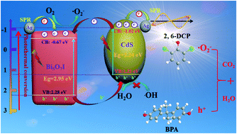 Graphical abstract: Plasmon Ag and CdS quantum dot co-decorated 3D hierarchical ball-flower-like Bi5O7I nanosheets as tandem heterojunctions for enhanced photothermal–photocatalytic performance