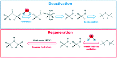 Graphical abstract: Regeneration of Cu/SAPO-34(MO) with H2O only: too good to be true?