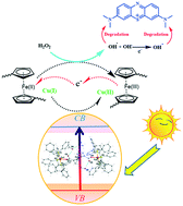 Graphical abstract: Bilateral photocatalytic mechanism of dye degradation by a designed ferrocene-functionalized cluster under natural sunlight
