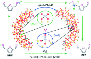 Graphical abstract: Catalytic mechanisms of oxygen-containing groups over vanadium active sites in an Al-MCM-41 framework for production of 2,5-diformylfuran from 5-hydroxymethylfurfural
