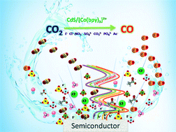 Graphical abstract: The influence of inorganic anions on photocatalytic CO2 reduction