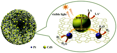 Graphical abstract: Porous lantern-like MFI zeolites composed of 2D nanosheets for highly efficient visible light-driven photocatalysis