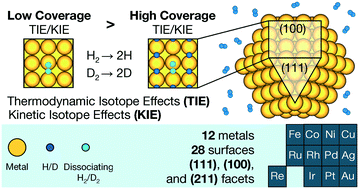 Graphical abstract: How coverage influences thermodynamic and kinetic isotope effects for H2/D2 dissociative adsorption on transition metals