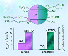 Graphical abstract: Different performances of Ni3(PO4)2 in TiO2 photocatalysis under aerobic and anaerobic conditions
