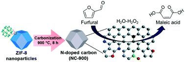 Graphical abstract: Oxidation of biomass-derived furans to maleic acid over nitrogen-doped carbon catalysts under acid-free conditions
