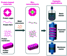 Graphical abstract: Fabrication of nanohybrids assisted by protein-based materials for catalytic applications