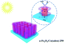 Graphical abstract: Tunable surface modification of a hematite photoanode by a Co(salen)-based cocatalyst for boosting photoelectrochemical performance