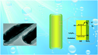 Graphical abstract: Promoting photocatalytic hydrogen production by a core–shell CdS@MoOx photocatalyst connected by an S–Mo “bridge”