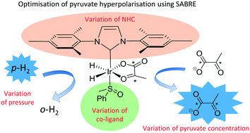 Graphical abstract: Optimisation of pyruvate hyperpolarisation using SABRE by tuning the active magnetisation transfer catalyst