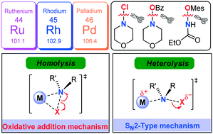Graphical abstract: Theoretical studies on the N–X (X = Cl, O) bond activation mechanism in catalytic C–H amination