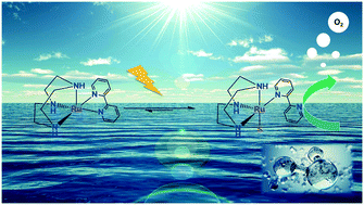 Graphical abstract: Ligand photodissociation in Ru(ii)–1,4,7-triazacyclononane complexes enhances water oxidation and enables electrochemical generation of surface active species