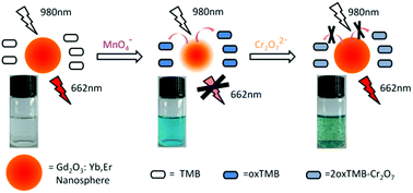 Graphical abstract: A fluorescent probe for sequential sensing of MnO4− and Cr2O72− ions in aqueous medium based on a UCNS/TMB nanosystem