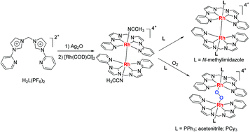 Graphical abstract: Unbridged Rh(ii)–Rh(ii) complexes of N-heterocyclic carbenes and reactions with O2 to form dirhodium(μ–η1:η1-O2) complexes