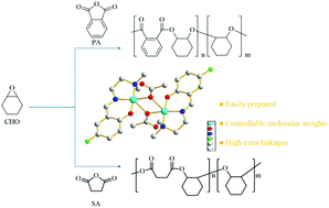 Graphical abstract: Mono- and dinuclear copper complexes coordinated on NNO-tridentate Schiff-base derivatives for copolymerization of cyclohexene oxide and cyclic anhydrides