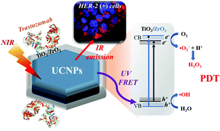 Graphical abstract: Controlling trapping states on selective theranostic core@shell (NaYF4:Yb,Tm@TiO2-ZrO2) nanocomplexes for enhanced NIR-activated photodynamic therapy against breast cancer cells