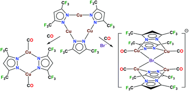 Graphical abstract: Carbonyl complexes of copper(i) stabilized by bridging fluorinated pyrazolates and halide ions