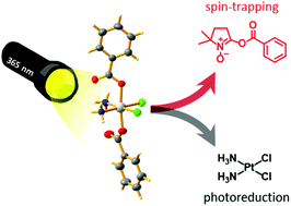 Graphical abstract: Design and investigation of photoactivatable platinum(iv) prodrug complexes of cisplatin