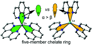 Graphical abstract: On the preferences of five-membered chelate rings in coordination chemistry: insights from the Cambridge Structural Database and theoretical calculations