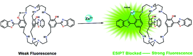 Graphical abstract: Benzothiazole integrated into a cryptand for ESIPT-based selective chemosensor for Zn2+ ions