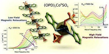 Graphical abstract: 1D coordination polymer (OPD)2CoIISO4 showing SMM behaviour and multiple relaxation modes