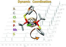 Graphical abstract: Rhodium(i) complexes with carborane-substituted P,N ligands: investigations of electronic structure and dynamic behaviour