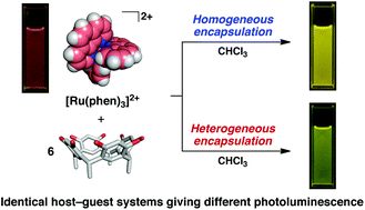 Graphical abstract: Encapsulation condition dependent photophysical properties of polypyridyl Ru(ii) complexes within a hydrogen-bonded capsule