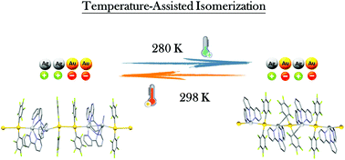 Graphical abstract: Temperature-assisted formation of reversible metallophilic Au–Ag interaction arrays