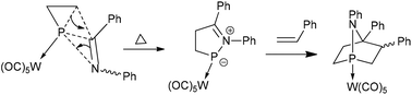 Graphical abstract: An approach to 7-aza-1-phosphanorbornane complexes: strain promoted rearrangement of 1-iminylphosphirane complexes and cycloaddition with olefins