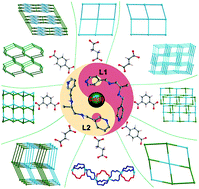 Graphical abstract: Cd(ii) coordination polymers constructed from bis(pyridyl) ligands with an asymmetric spacer in chelating mode and diverse organic dicarboxylates: syntheses, structural evolutions and properties