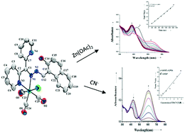 Graphical abstract: Experimental and theoretical investigation of a metalloreceptor bearing a [Re(CO)3]+ core incorporating a multifunctional ligand: selective reactivity towards Zn2+ and CN− ions